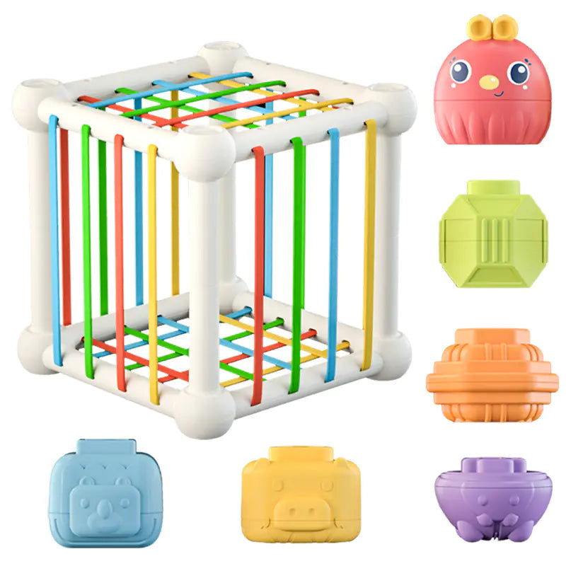 Rainbow Creative Cube Toy
