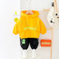 Trendy Baby Fall Outfit Set for Boys (2-Piece)
